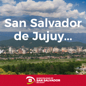 Banner Muni