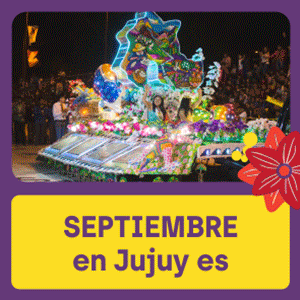 Banner FNE