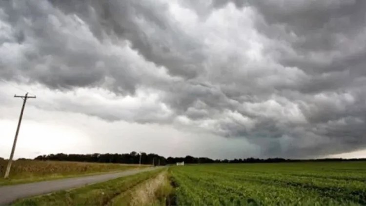 Alerta meteorológico