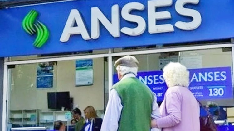 ANSES: irregularidades