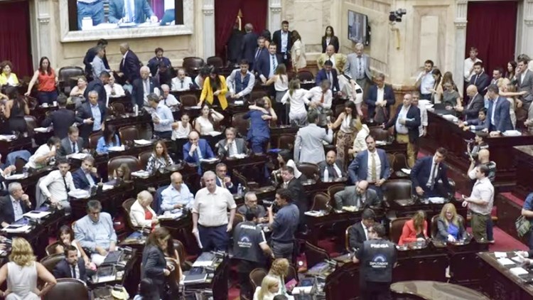 Diputados, Ley Omnibus