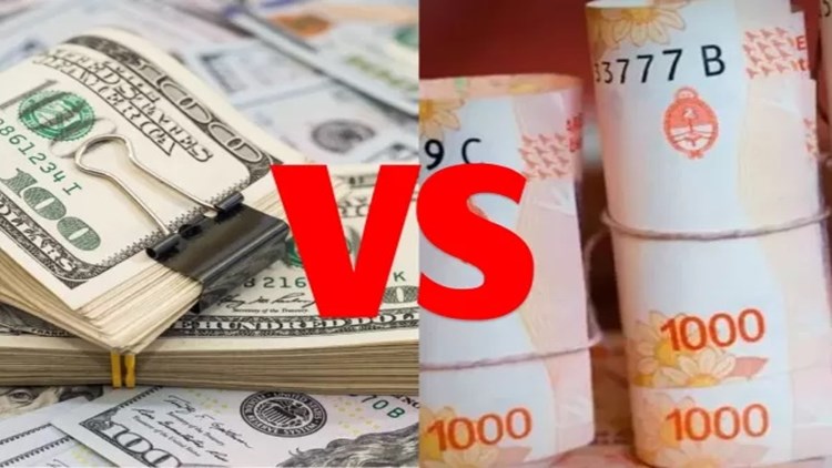 Dólar v plazo fijo