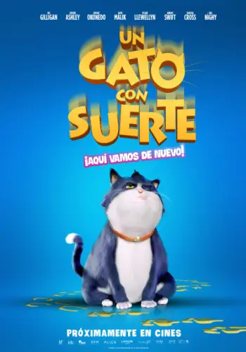 Un gato con suerte