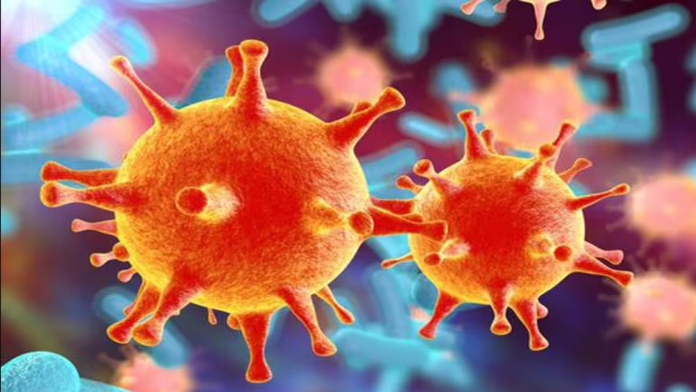 Cáncer, investigaciones