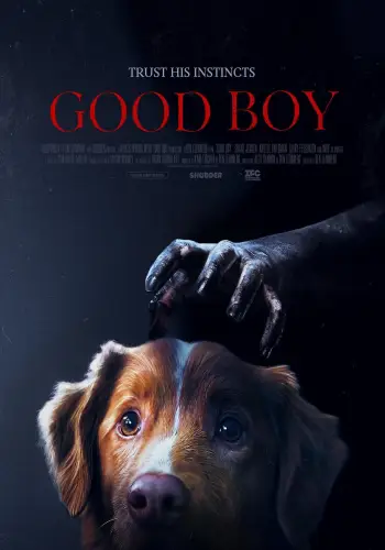 Good boy